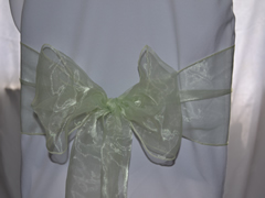 Organza Wedding Sashes